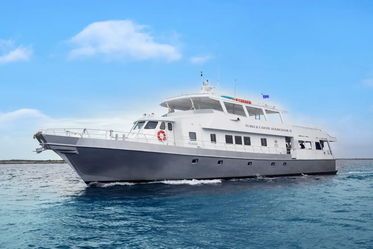 Turks & Caicos Liveaboard Diving: Dive With Humpback Whales